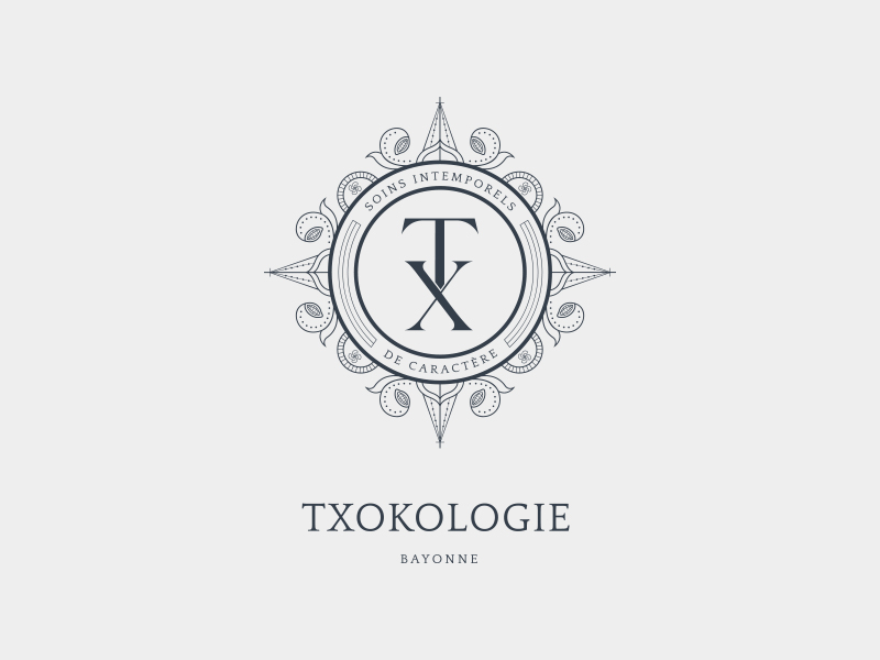 logo txokologie